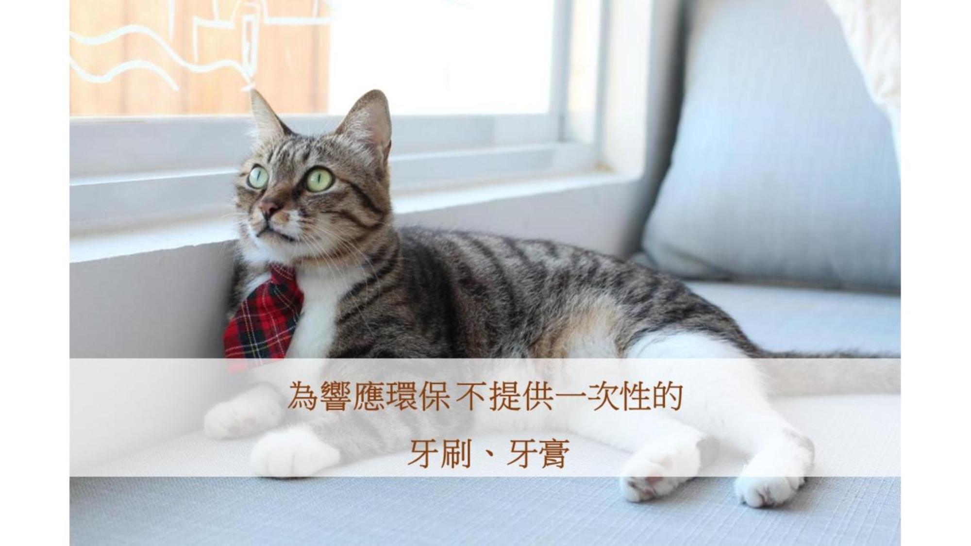 남완 Cat At Greece B&B 외부 사진