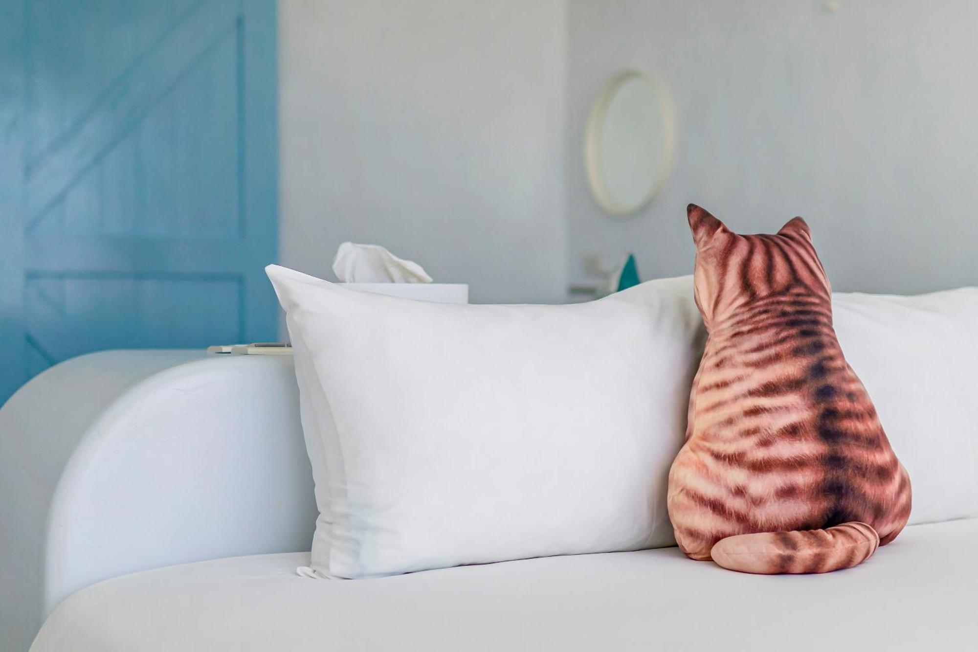 남완 Cat At Greece B&B 외부 사진