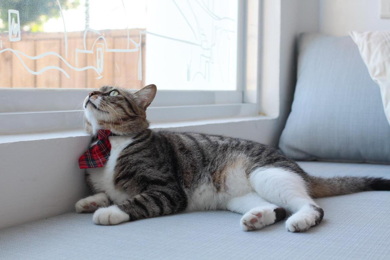 남완 Cat At Greece B&B 외부 사진