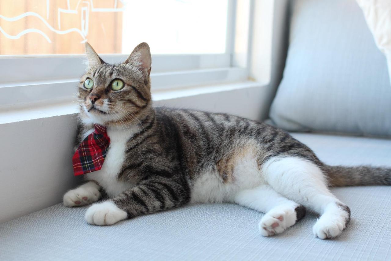 남완 Cat At Greece B&B 외부 사진